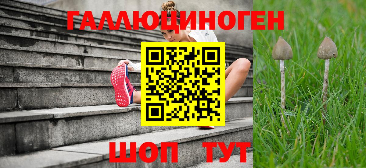 Избербаш  Псилоцибиновые грибы мухоморы  наркота  Вход с VPN  Галлюциногенные грибы Psilocybe 